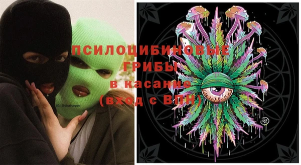 бошки Алзамай