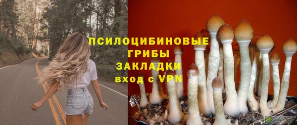бутират Алексеевка